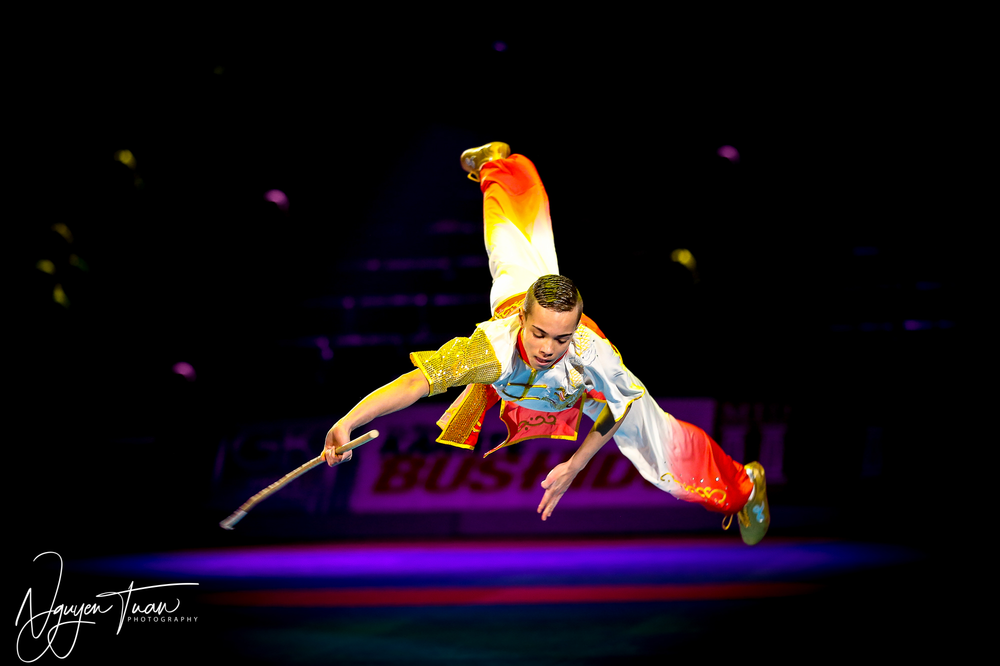 20190324 Festival des Arts Martiaux 1249